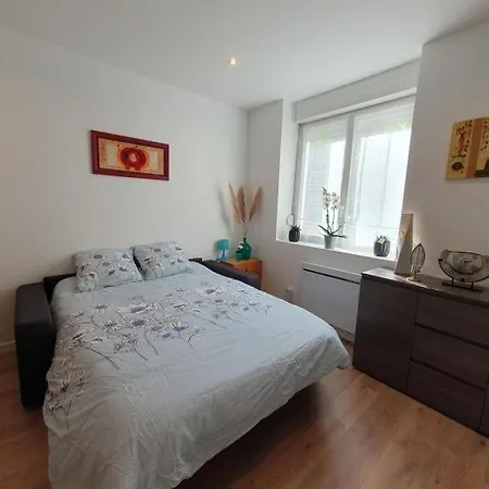 Appart'hotel, Ikimo 5 Entiers A Votre Disposition Au Choix Νανσύ