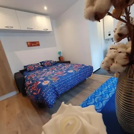 Appart'hotel, Ikimo 5 Entiers A Votre Disposition Au Choix Διαμέρισμα Νανσύ